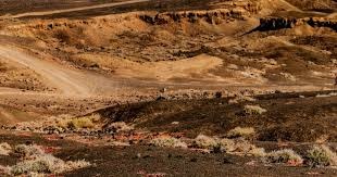 曼晚主编：拜仁和尤文兜售德利赫特是有原因的，他一直在下滑